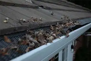 Avoiding the Damage of Clogged Gutters