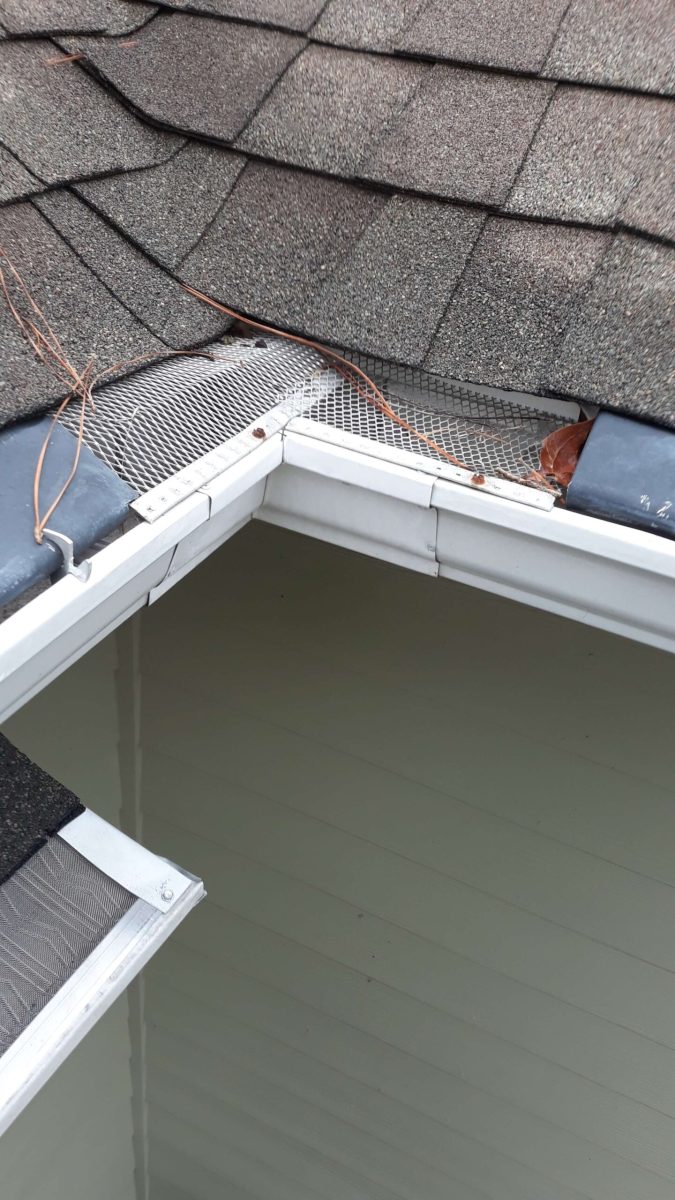 Close-up of a house roof corner with mesh gutter guards, some pine needles, and a few leaves on top.