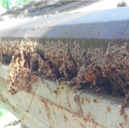 Close-up of a house gutter filled with debris, dirt, and plant material, indicating lack of maintenance.