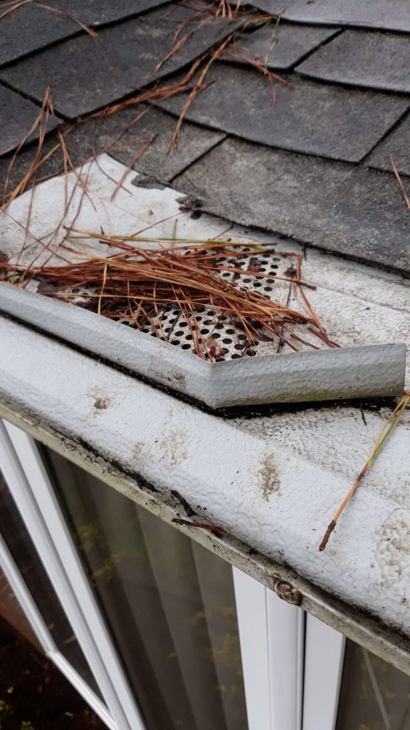 A section of gutter guard is detached and blocked with pine needles on a roof edge above a window.