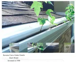 A gutter with plants growing out of it, showing the ineffectiveness of reverse curve gutter guards.