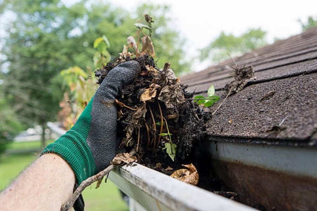 A person wearing a green glove removes wet leaves and debris from a roof gutter.