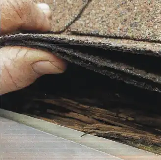 A hand lifts roof shingles to reveal rotting wood underneath.