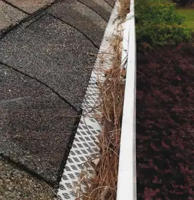 A house gutter covered with a mesh guard is partially clogged with brown pine needles and debris.