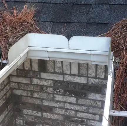 A rooftop gutter is blocked at the end, with pine needles accumulating on both sides.